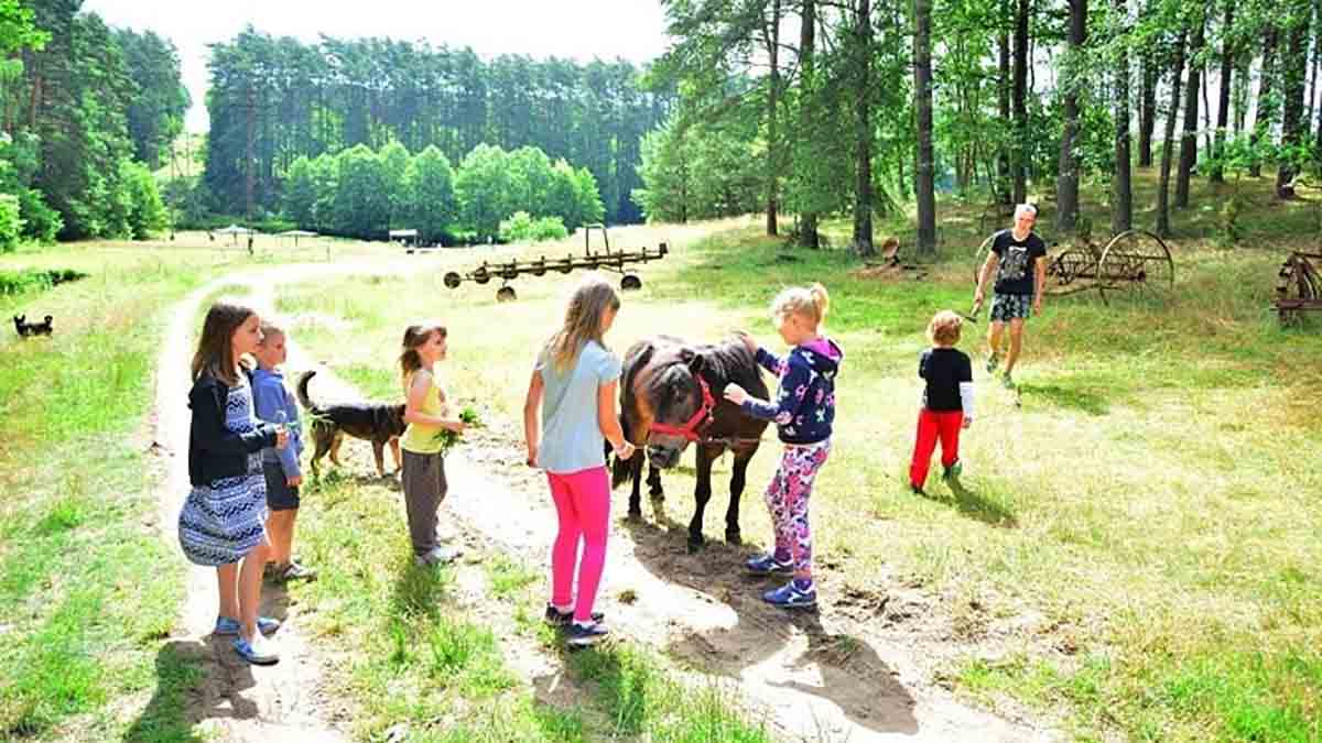 Dzieci z koniem na zielonej łące