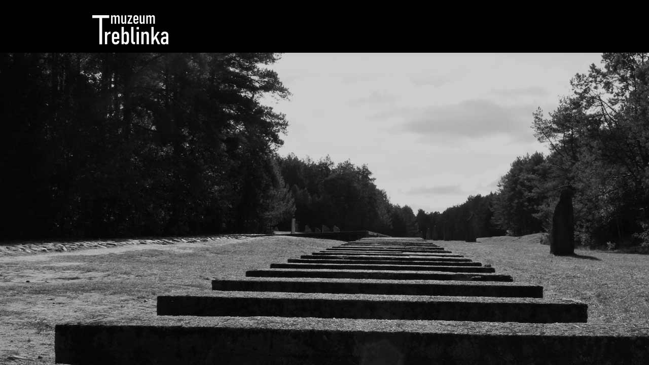 Czarno białe zdjęcie. Podkłady kolejowe z zdjętymi szynami w Treblince. Wokoło las