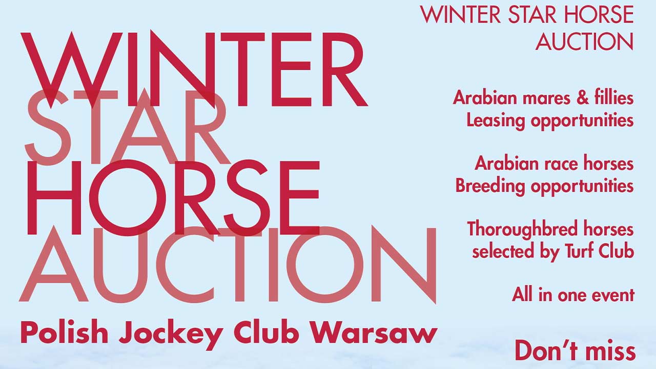 Plakat Winter Star Horse Auction - Służewiec 2019